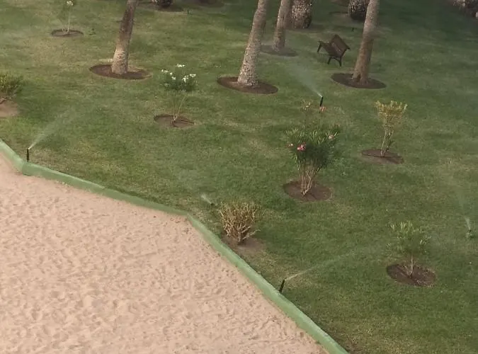 Dac Agaete Parque